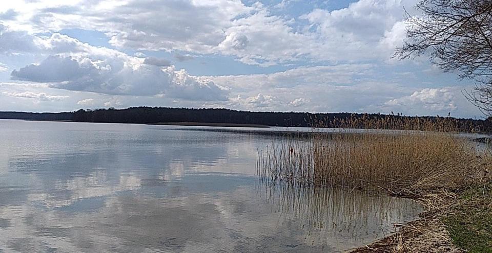 Апартаменти Cztery Pory Warmii Pluski Pokoje Do Wynajecia Екстер'єр фото